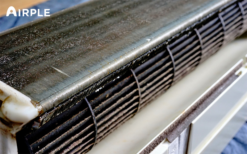 Breeding ground of mould on evaporator coils